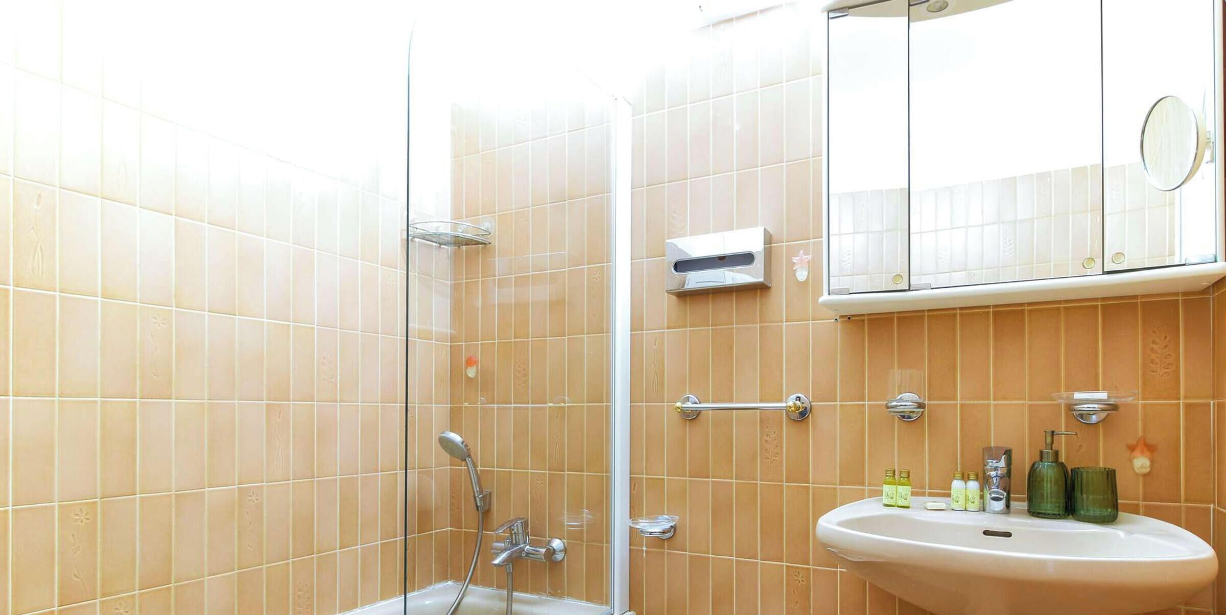 Ein Badezimmer mit einer Duschkabine aus Glas, einem Waschbecken mit Pflegeprodukten und einem Spiegel darüber.