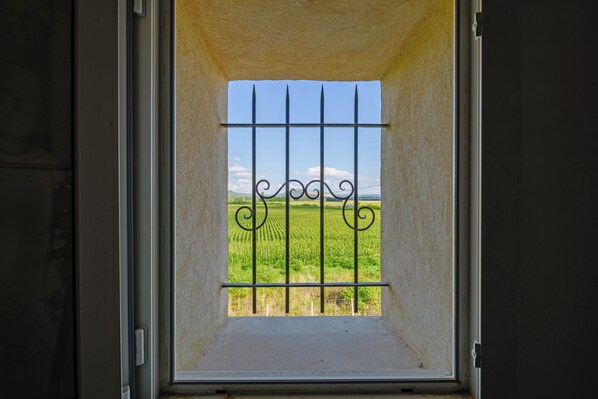 A window with metal bars and a view of a green field. - Mas provençal en pierres avec pisicine privée, jardin - ideal for family (Vénéjan)