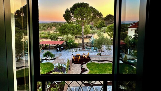 Une vue à travers une fenêtre sur un jardin avec un grand arbre, un espace patio avec des meubles d’extérieur et un paysage lointain.