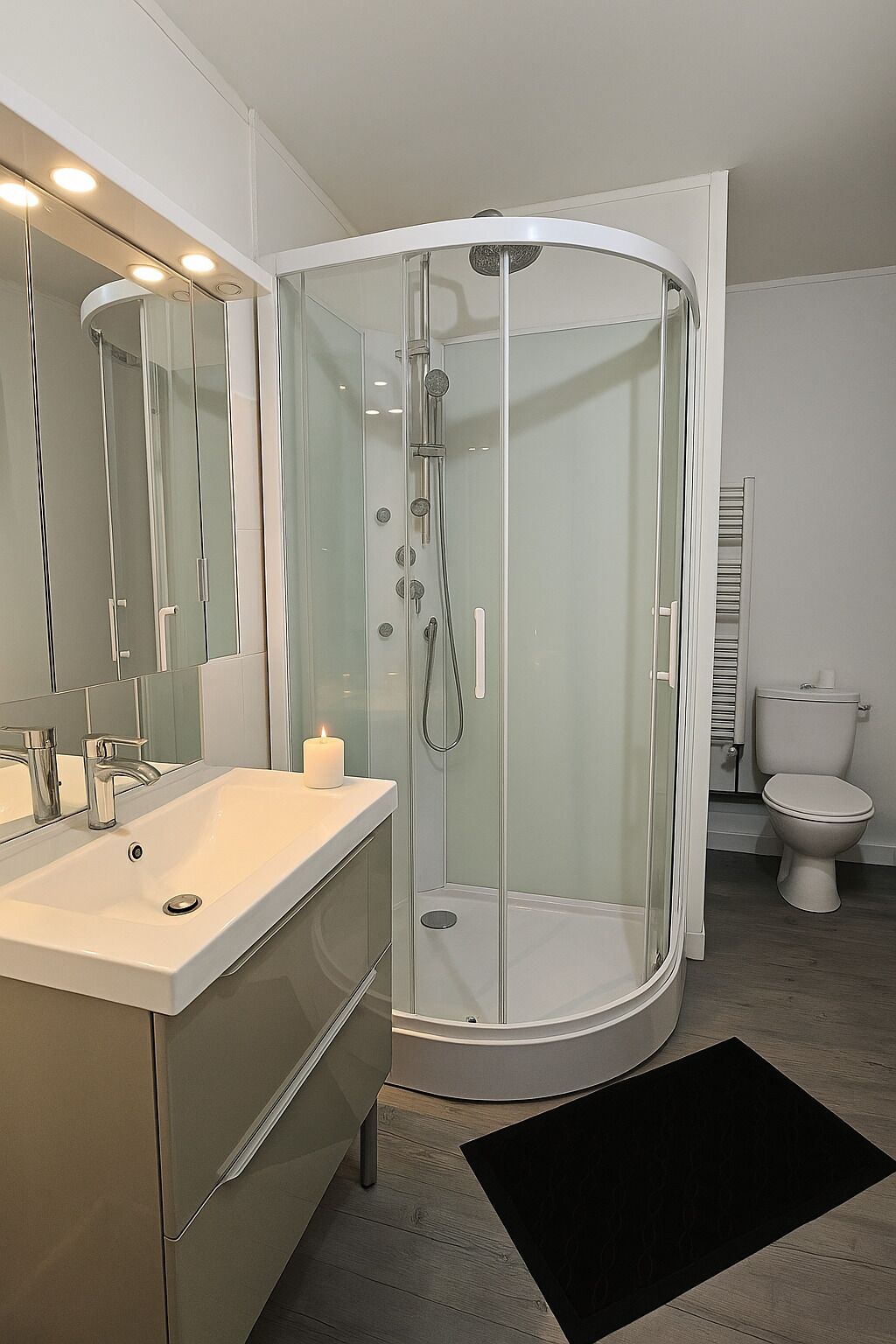 A modern bathroom with a glass-enclosed shower, a vanity with a mirror, and a toilet.