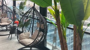 A modern interior with large windows, a hanging chair, and a potted plant. - Apartment with Sea View in New Boulevard of Batumi (Batumi)