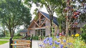 A building with a triangular roof and large windows, surrounded by trees and flowers. - Tiny House Drents-Friese Wold with terrace and parking lot (Hoogersmilde)