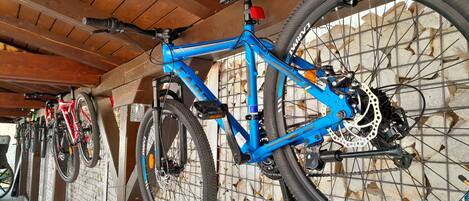 A blue bicycle with a rear rack, mounted on a wall with a wooden ceiling and a stone wall background.