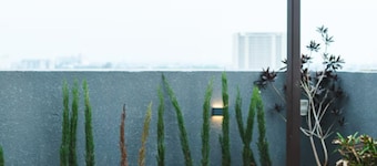 Ashadeep Rainbow Studios