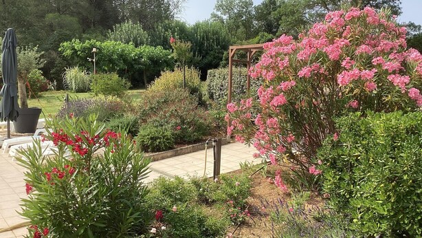 A garden with various plants and a pergola. - Villa in France With Private Pool & Garden (Prades-sur-Vernazobre)