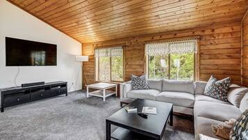 Télévision, cheminée, espaces bureaux