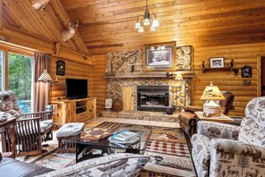 Télévision, cheminée, lecteur de DVD, livres