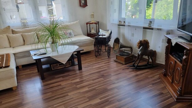 Un salon comprenant un canapé, une table basse, un radiateur, un téléviseur et une statue de cheval décorative.