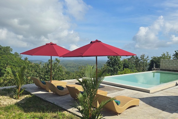 Habitación individual estándar | Vistas desde la habitación