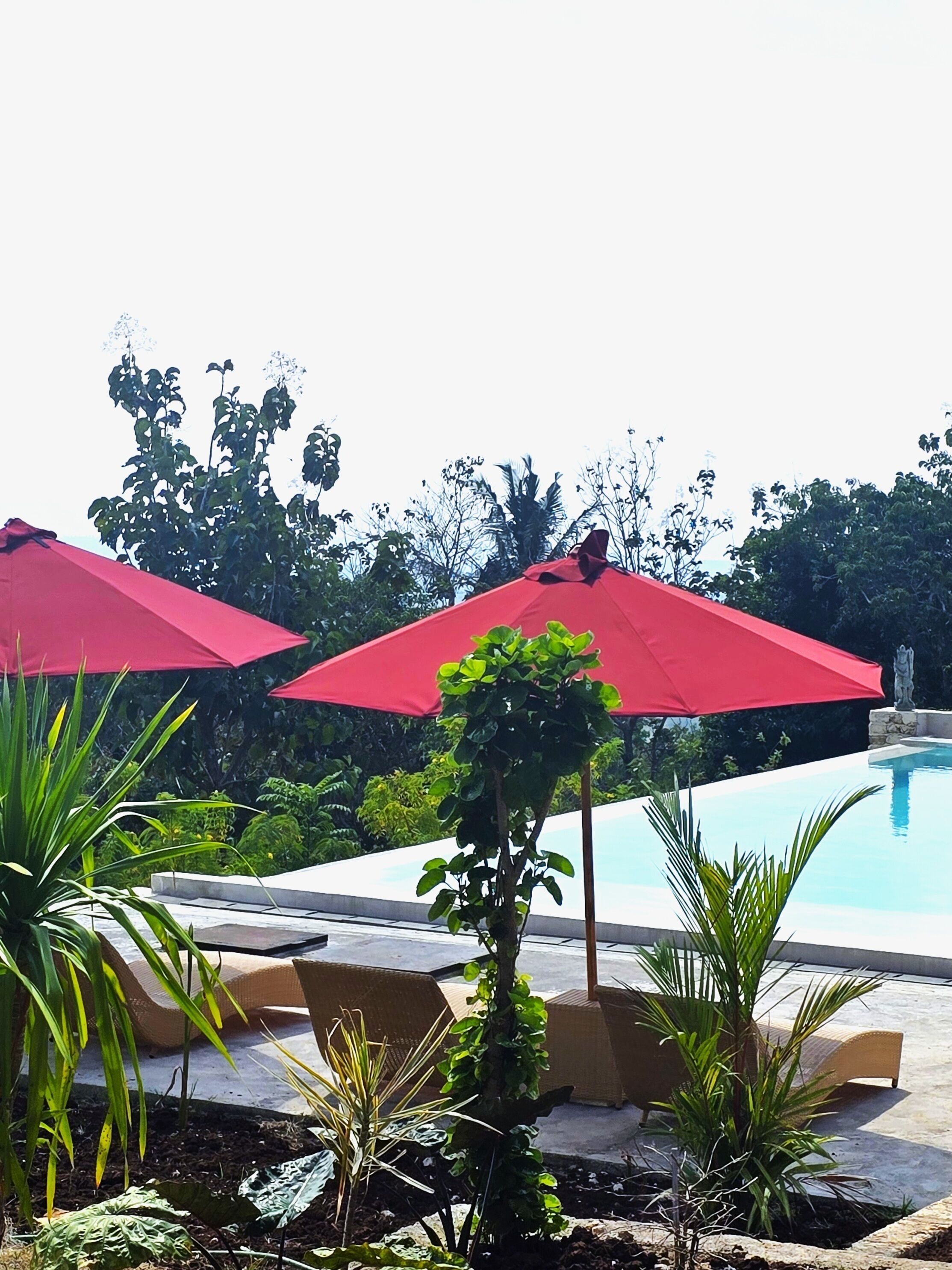 A pool area with red umbrellas and lounge chairs.