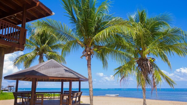 A beach with a wooden gazebo, palm trees, and a clear view of the ocean. - Roatan Ocean View - Ground Floor 2 Bedroom Apts (Roatan)