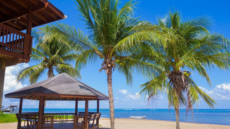 Roatan Ocean View - Ground Floor 2 Bedroom Apts