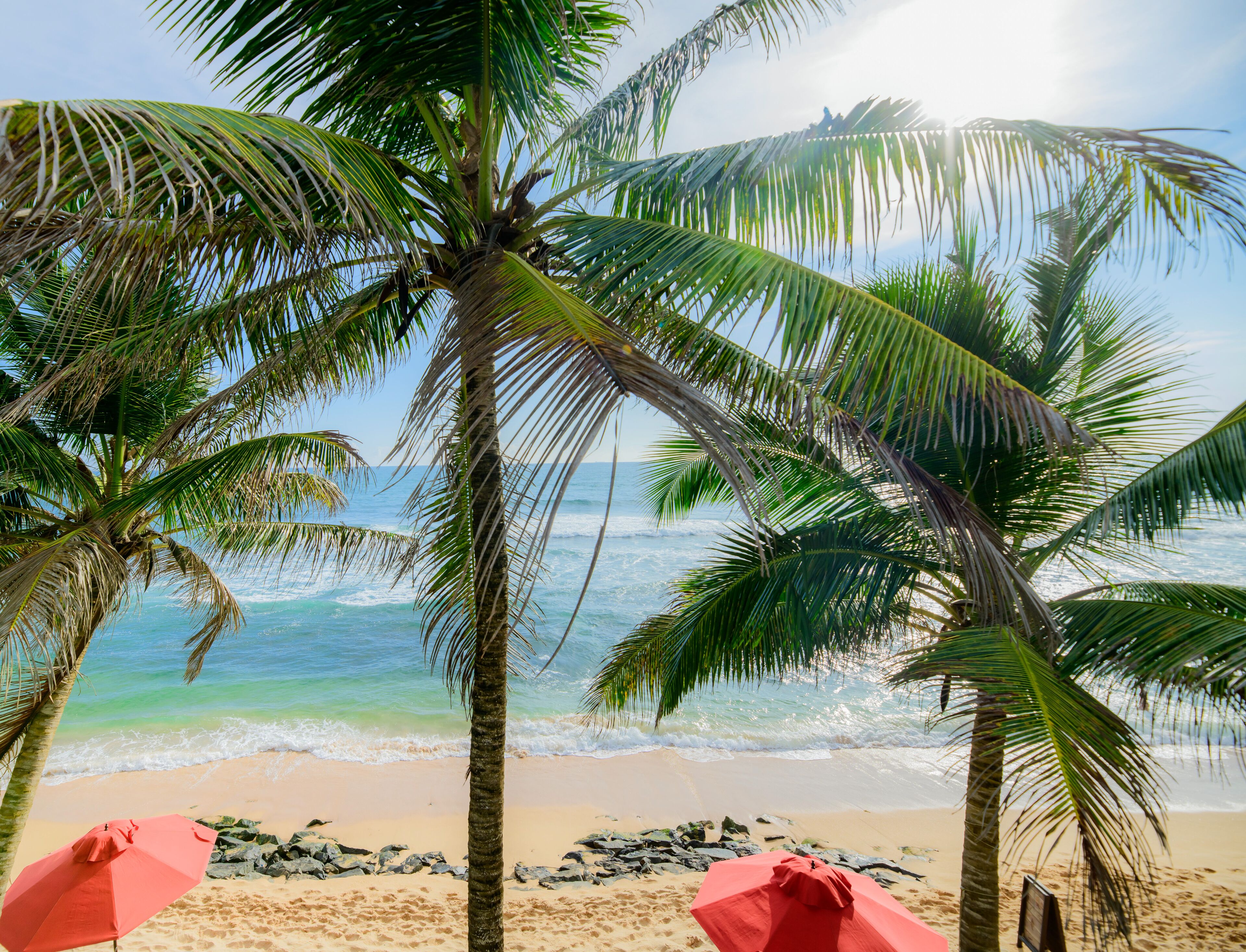 A beach with palm trees and two red umbrellas.