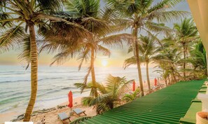 Front of property - Royal Beach Hotel Hikkaduwa (Hikkaduwa)