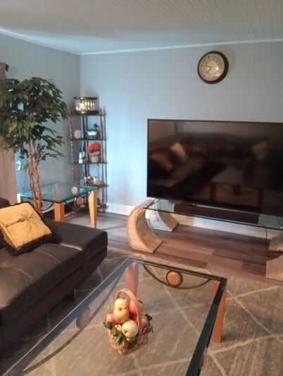 Charming 1-bedroom apartment with AC, WiFi in marvelous Pittsburgh