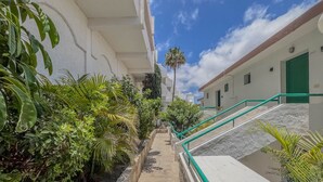 Un sendero estrecho bordeado por abundante vegetación y un edificio con puerta verde.