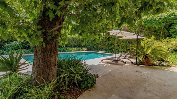 A pool area with a tree, a lounge chair, and an umbrella.