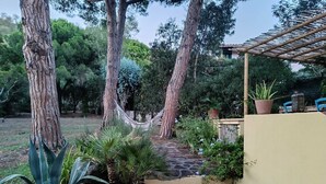 A garden with a hammock, potted plants, and a stone pathway leading to a wooden bench.