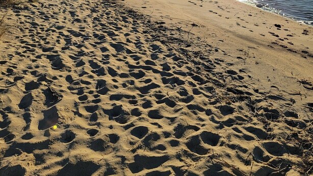 A sandy beach with footprints, a pier in the distance, and a clear sky.