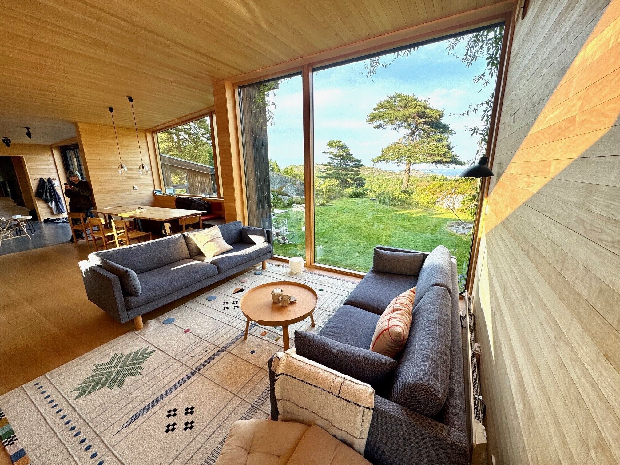 Smart-TV, peis, DVD-spiller og bøker