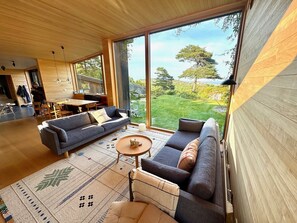 Smart-tv, eldstad, dvd-spelare och böcker