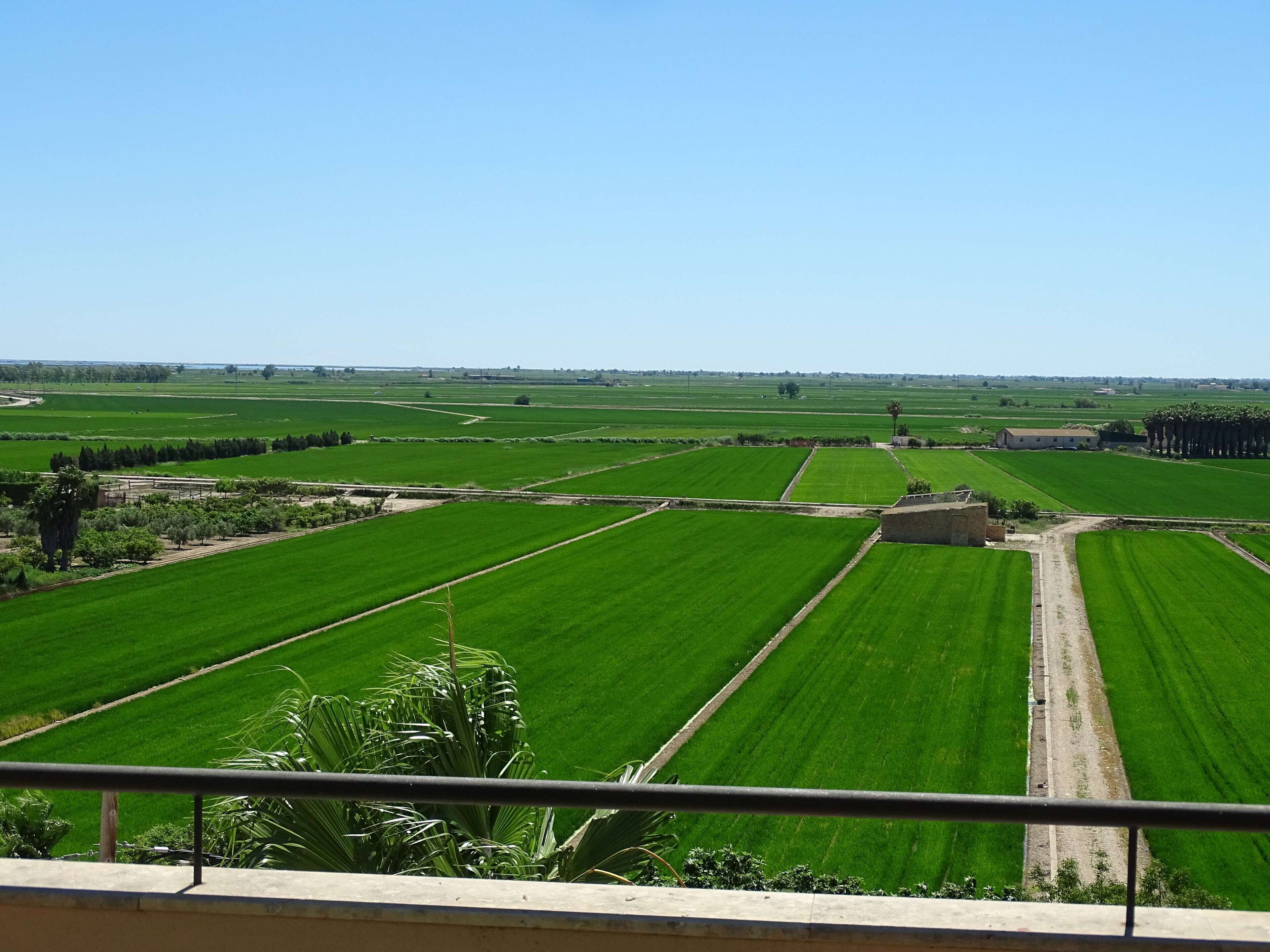 Uitzicht vanuit accommodatie