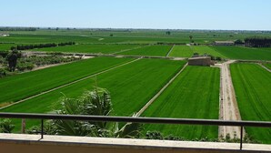 A rural landscape with expansive green fields and a few scattered buildings.