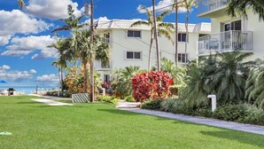 Un hotel frente a la playa con un césped cuidado, palmeras y una vista despejada del océano.