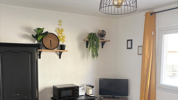A living room with a black cabinet, a TV, a microwave, and a small trash bin. There are two shelves with plants and a globe.