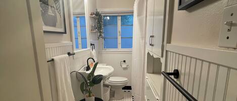 Hair dryer, towels, soap, toilet paper