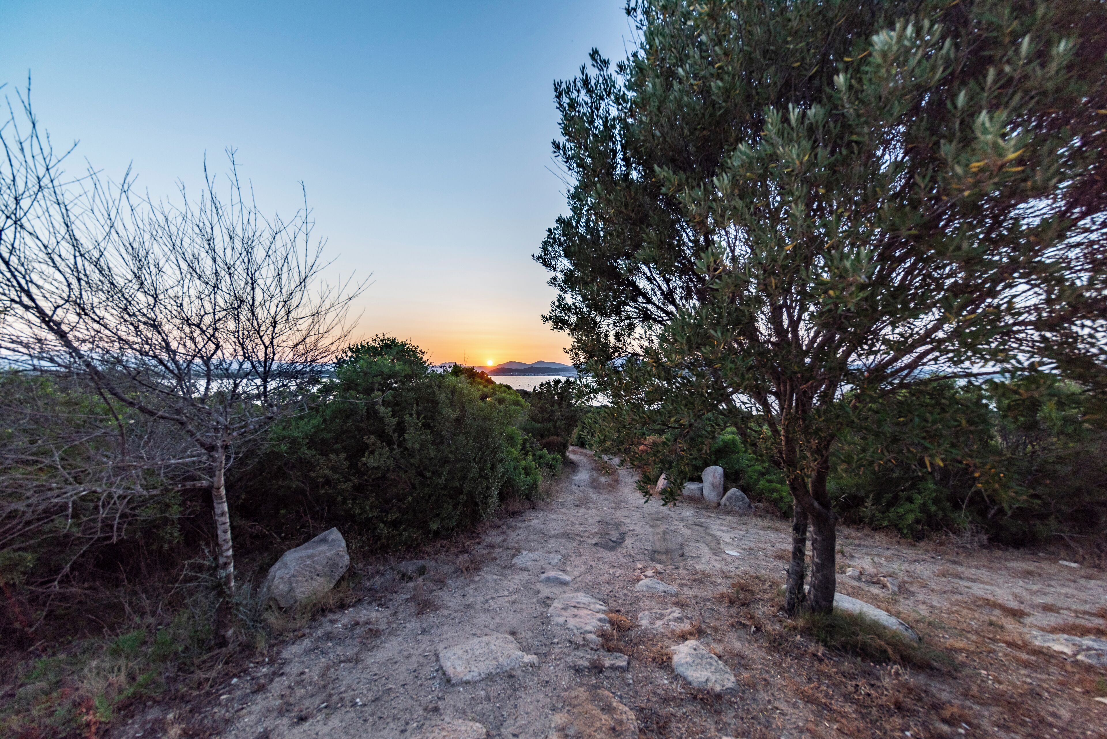 Photo - L'isola che non c'è NG Collection