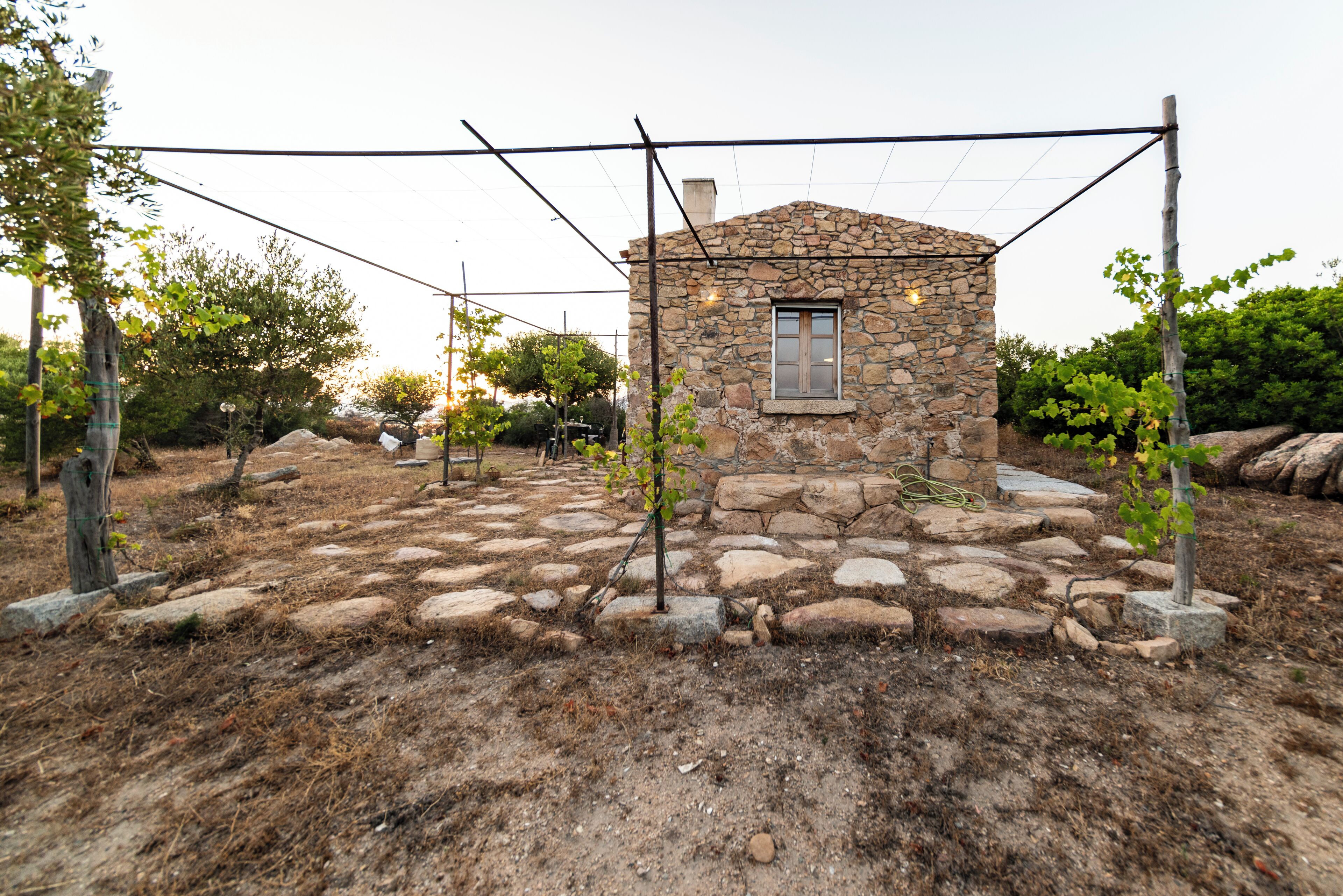 Photo - L'isola che non c'è NG Collection