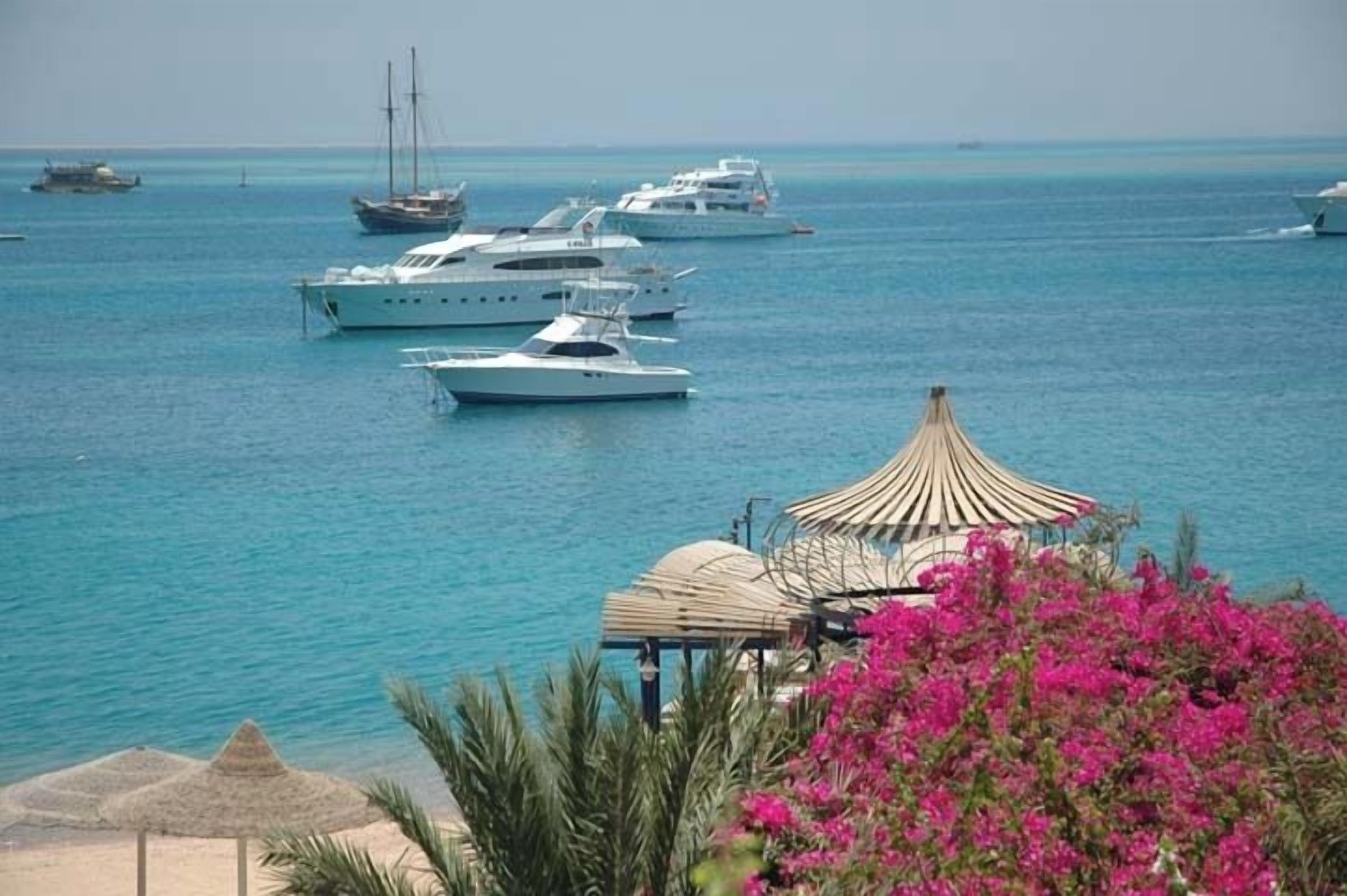 Una marina con diversi yacht ormeggiati, un padiglione e una spiaggia con fiori rosa.