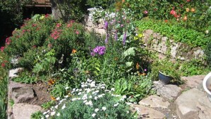 House | Property grounds - Villa Thea in the Rhon (Sandberg)