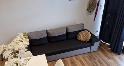 Chic & Central - Your Retreat in Le Mans