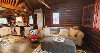Charming 2-bedroom cabin with AC, WiFi in lovely Houghton Lake