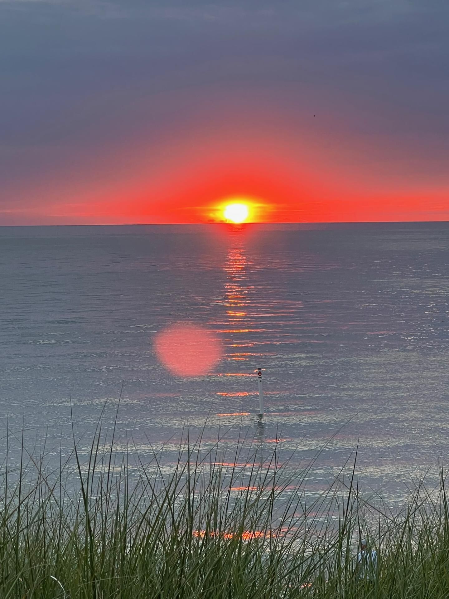 A sunset over a calm sea with a grassy foreground.