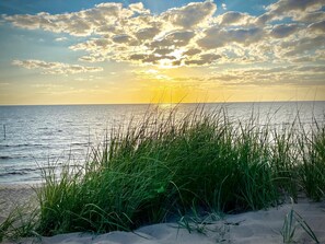 Exterior - The Sharlene-hot tub Fenced Yard Steps to Douglas (Douglas)