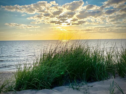 The Sharlene-hot tub Fenced Yard Steps to Douglas