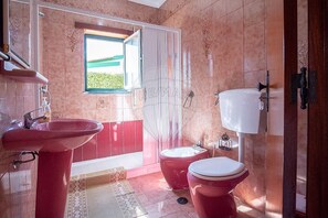 Shower, bidet, towels, toilet paper