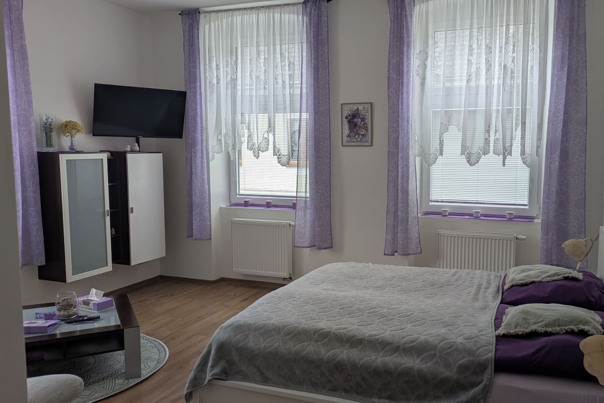 Un dormitorio con una cama, televisión, armario y dos ventanas con cortinas.