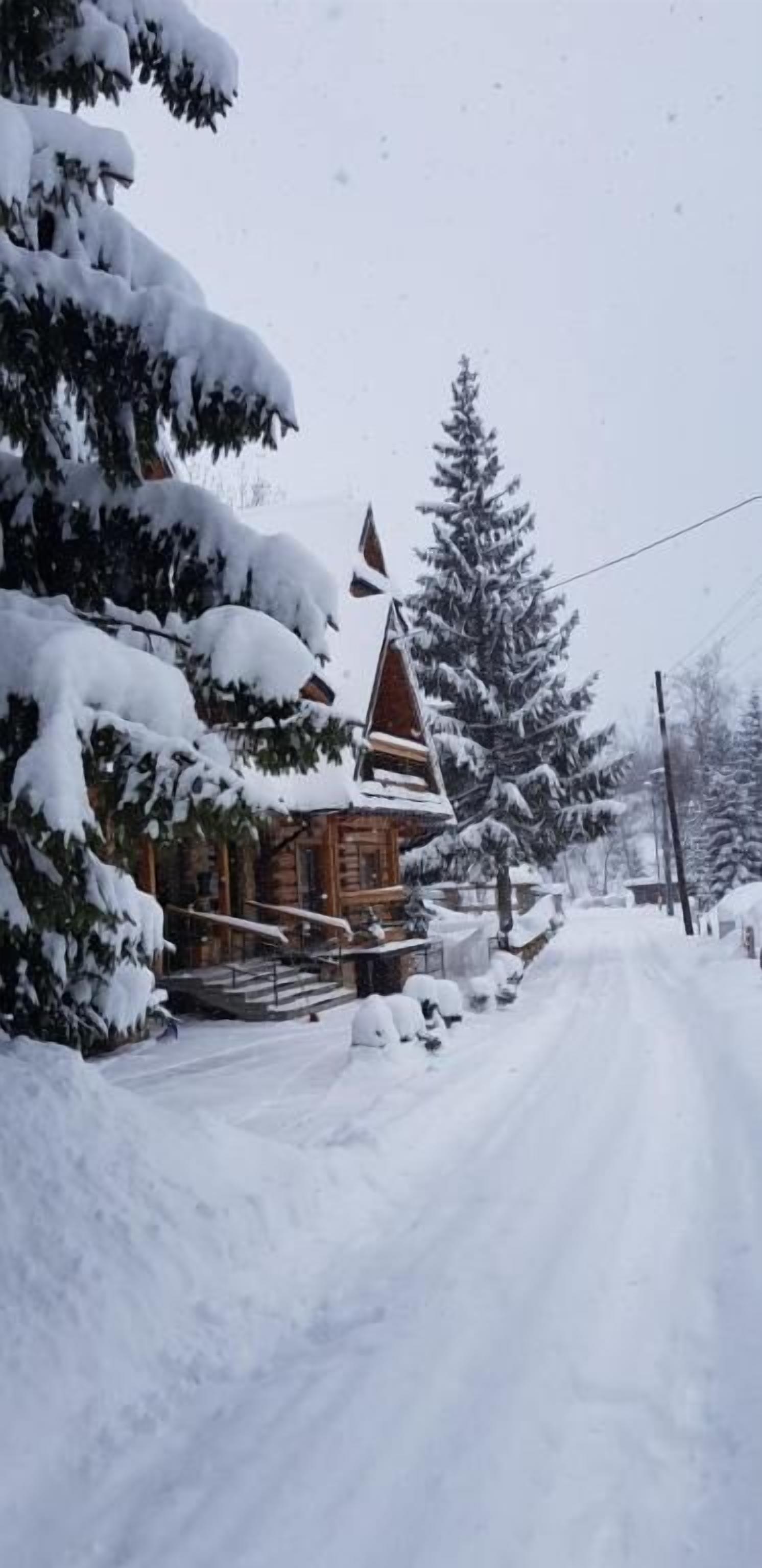 Une cabane en bois recouverte de neige, avec un toit abrupt, entourée d’arbres chargés de neige et d’une route également recouverte de neige.