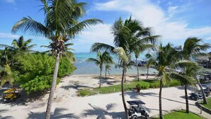 Una playa con palmeras, cielo despejado y vista al océano.