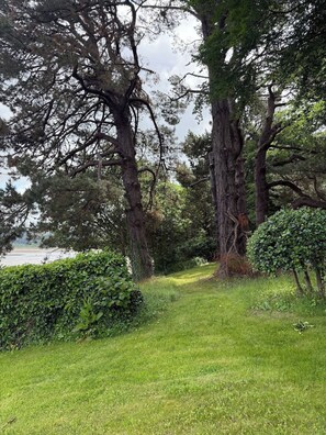 A grassy area with trees and a hedge. - Benarth Lodge a charming unique hideaway in Conwy (iverside Business Park)