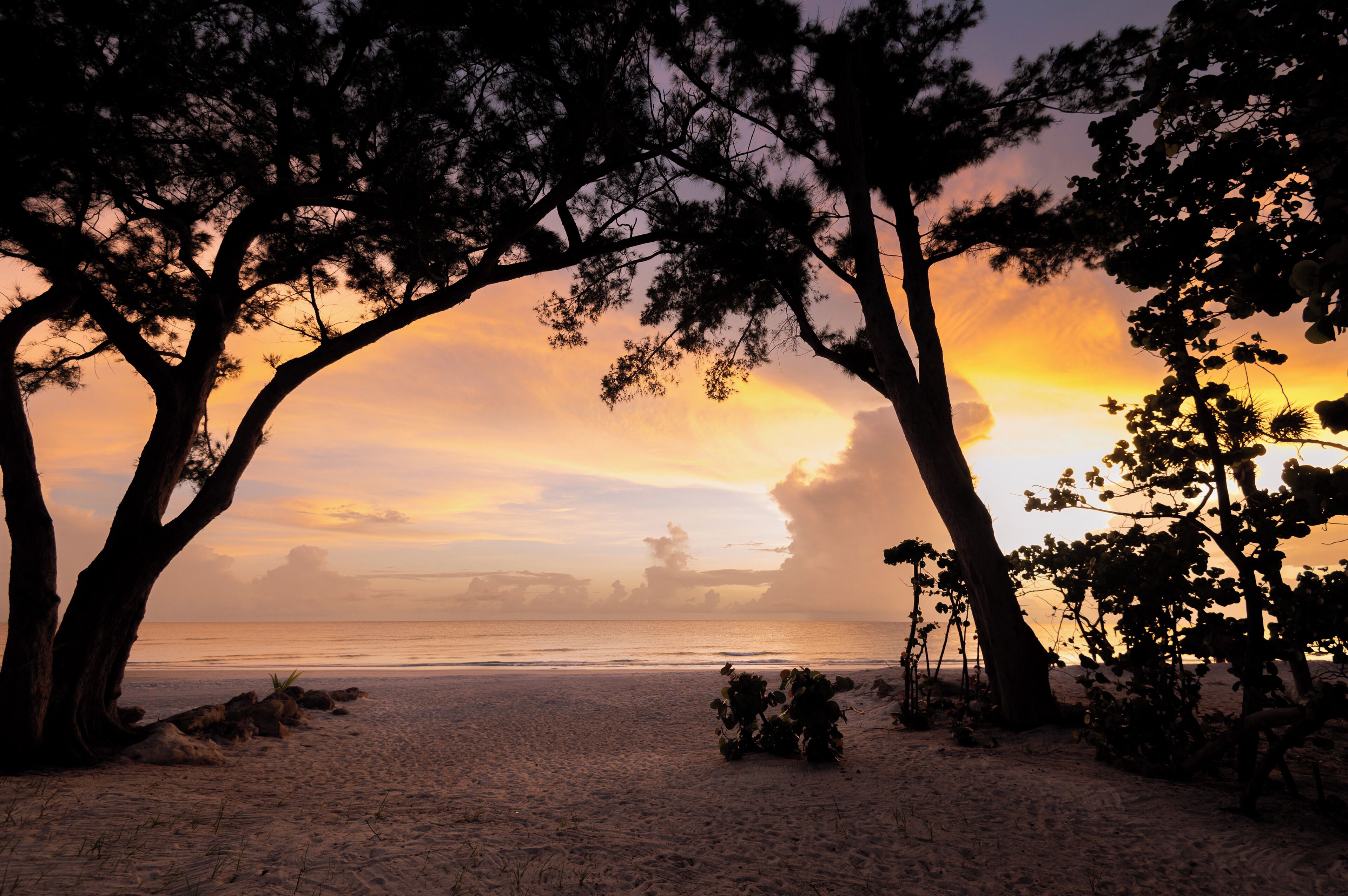 On the beach, sun loungers, beach towels