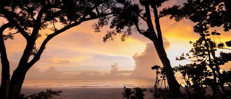On the beach, sun loungers, beach towels