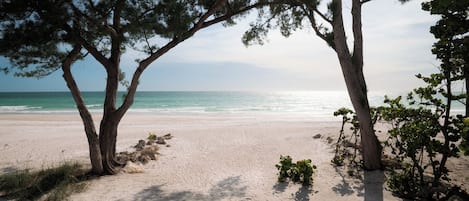 On the beach, sun loungers, beach towels