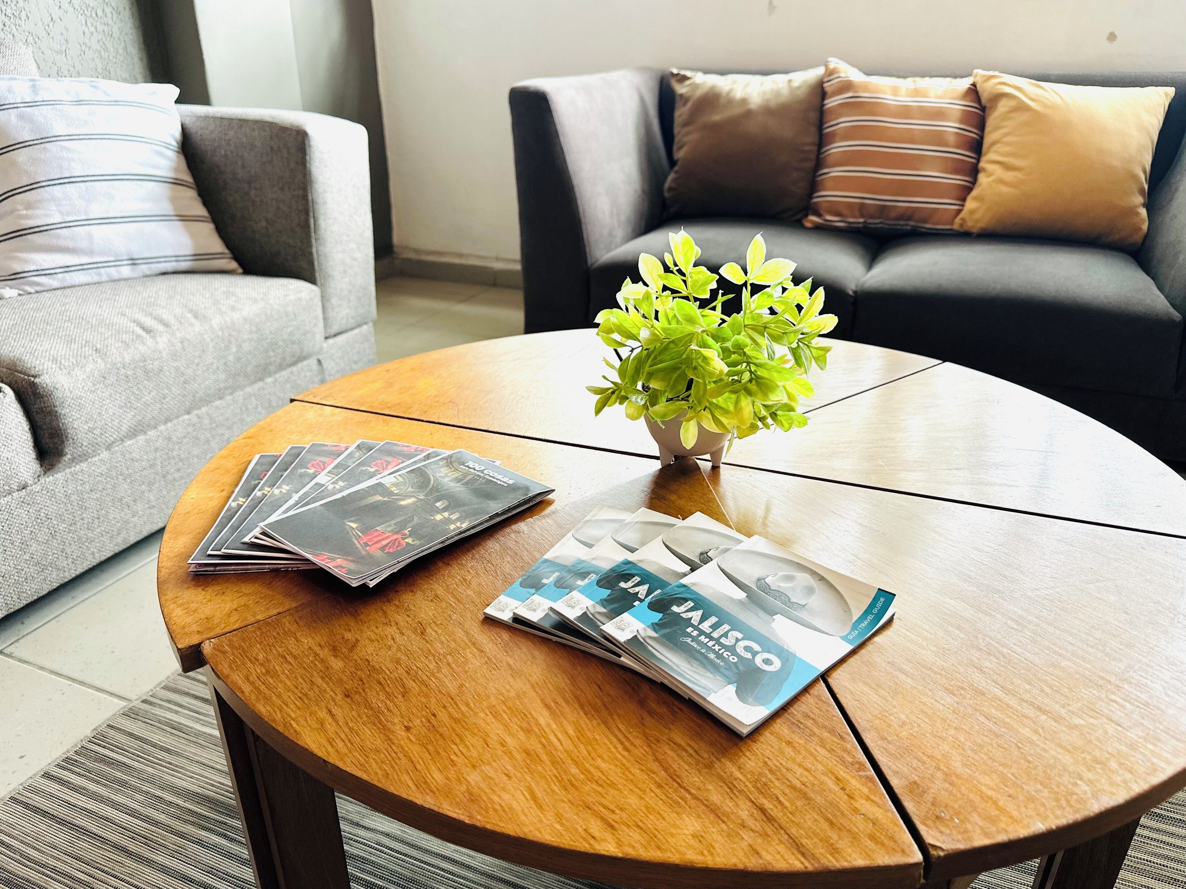 Televisión de pantalla plana, chimenea, Netflix, servicios de streaming