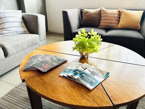 32-英寸纯平电视（配备数码频道）、壁炉、Netflix