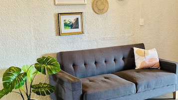 Televisión de pantalla plana, chimenea y Netflix